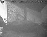Capi_Dubne_20250914_012002.jpg