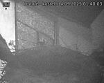 Capi_Dubne_20250914_014003.jpg