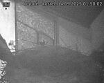 Capi_Dubne_20250914_015002.jpg