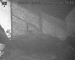 Capi_Dubne_20250914_015503.jpg