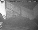 Capi_Dubne_20250914_031003.jpg