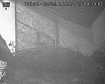 Capi_Dubne_20250914_041002.jpg