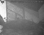 Capi_Dubne_20250914_043003.jpg