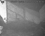 Capi_Dubne_20250914_044502.jpg