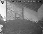 Capi_Dubne_20250914_061002.jpg