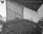 Capi_Dubne_20250914_062002.jpg