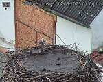 Capi_Dubne_20250914_070002.jpg