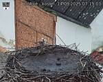 Capi_Dubne_20250914_071503.jpg