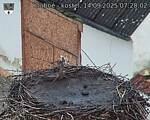 Capi_Dubne_20250914_072002.jpg