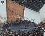 Capi_Dubne_20250914_073002.jpg