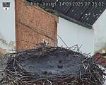 Capi_Dubne_20250914_073502.jpg