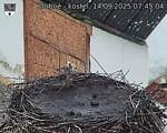 Capi_Dubne_20250914_074504.jpg