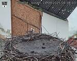 Capi_Dubne_20250914_080003.jpg