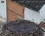 Capi_Dubne_20250914_082504.jpg