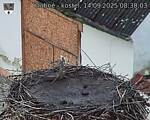 Capi_Dubne_20250914_083003.jpg