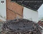 Capi_Dubne_20250914_085505.jpg