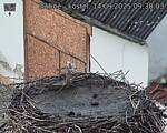 Capi_Dubne_20250914_093003.jpg