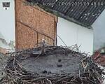 Capi_Dubne_20250914_094004.jpg