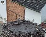 Capi_Dubne_20250914_094503.jpg