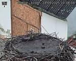 Capi_Dubne_20250914_100004.jpg