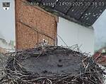 Capi_Dubne_20250914_103003.jpg