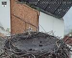 Capi_Dubne_20250914_110004.jpg