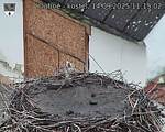 Capi_Dubne_20250914_111502.jpg