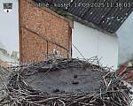 Capi_Dubne_20250914_113003.jpg