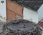 Capi_Dubne_20250914_113502.jpg