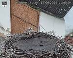 Capi_Dubne_20250914_114504.jpg