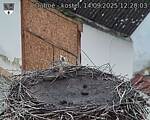 Capi_Dubne_20250914_122003.jpg