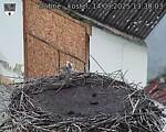 Capi_Dubne_20250914_133003.jpg