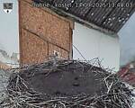 Capi_Dubne_20250914_134003.jpg