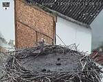 Capi_Dubne_20250914_140003.jpg