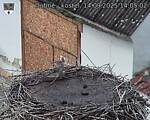 Capi_Dubne_20250914_140502.jpg
