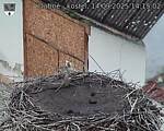 Capi_Dubne_20250914_141502.jpg