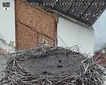 Capi_Dubne_20250914_144004.jpg