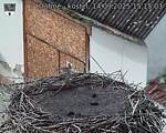 Capi_Dubne_20250914_151503.jpg