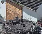 Capi_Dubne_20250914_154502.jpg