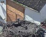 Capi_Dubne_20250914_160503.jpg