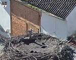 Capi_Dubne_20250914_162003.jpg