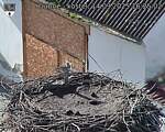 Capi_Dubne_20250914_162502.jpg
