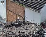 Capi_Dubne_20250914_163003.jpg