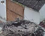 Capi_Dubne_20250914_164502.jpg
