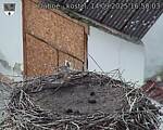 Capi_Dubne_20250914_165003.jpg