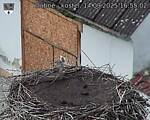 Capi_Dubne_20250914_165502.jpg