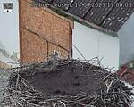 Capi_Dubne_20250914_170003.jpg