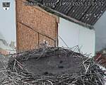 Capi_Dubne_20250914_170502.jpg
