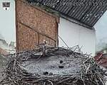 Capi_Dubne_20250914_171503.jpg