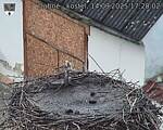 Capi_Dubne_20250914_172002.jpg